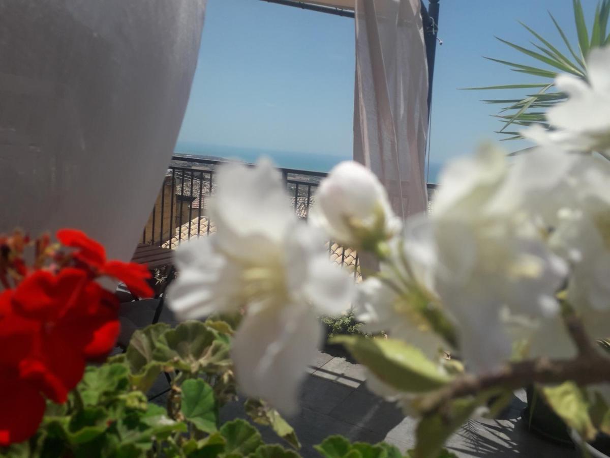 Tesori Di Girgenti Bed and Breakfast Agrigento Eksteriør billede