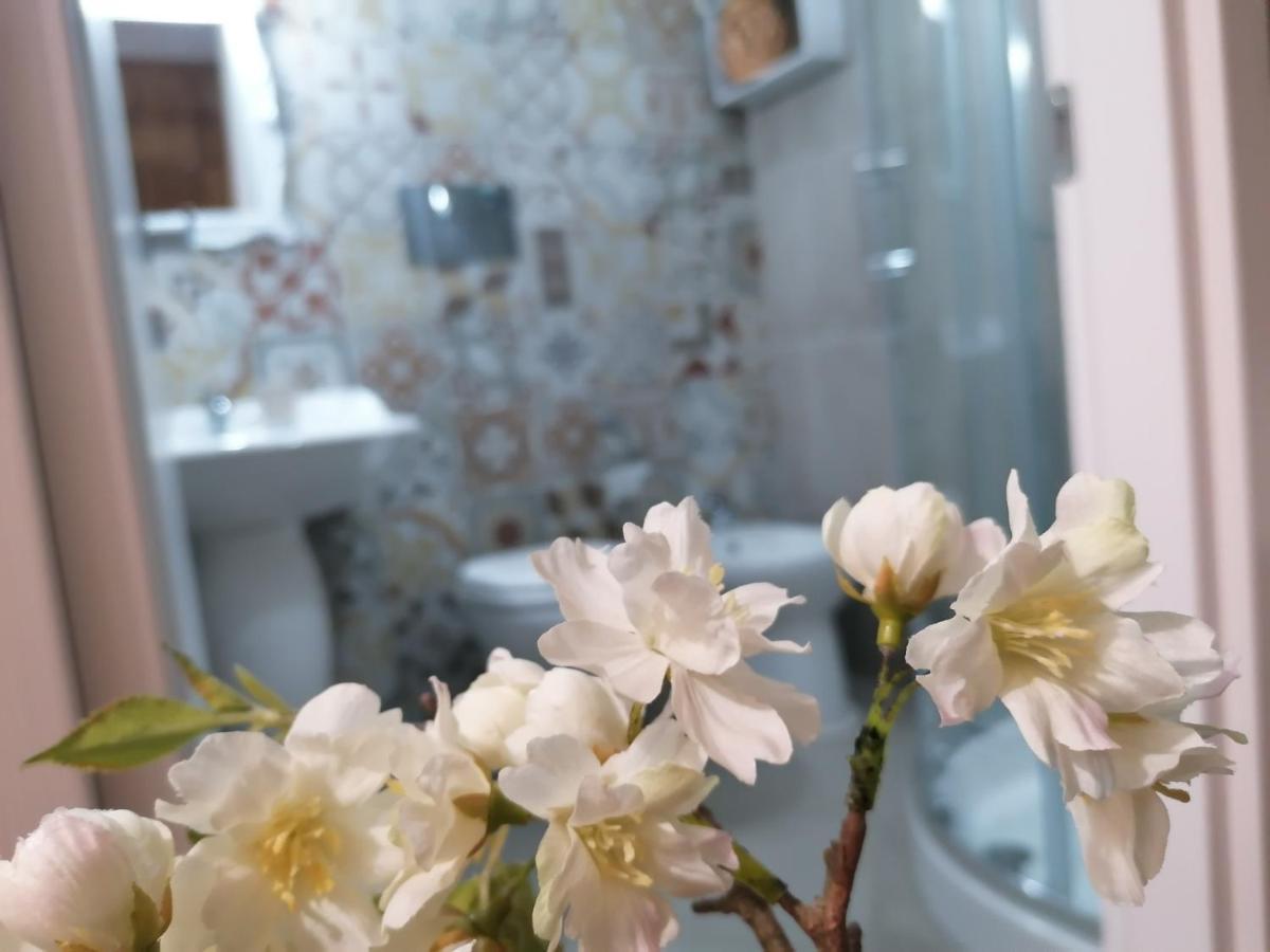 Tesori Di Girgenti Bed and Breakfast Agrigento Eksteriør billede