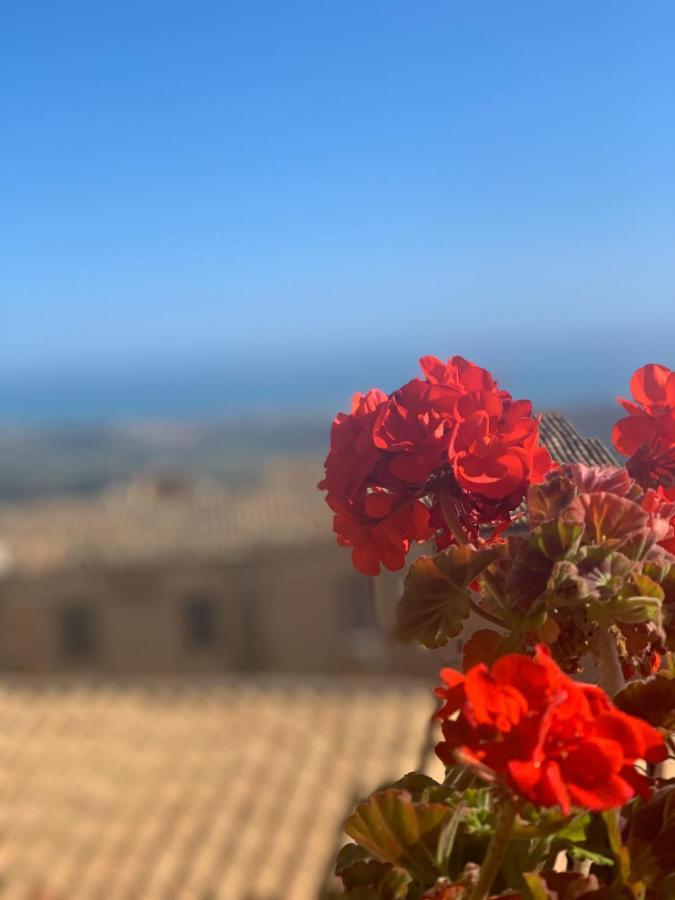 Tesori Di Girgenti Bed and Breakfast Agrigento Eksteriør billede